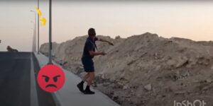 violenza sui cani randagi