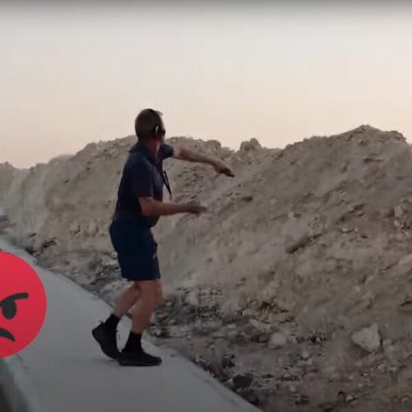 Cani randagi maltrattati a Sharm: la testimonianza dura di Marco Licata SOSBaladi