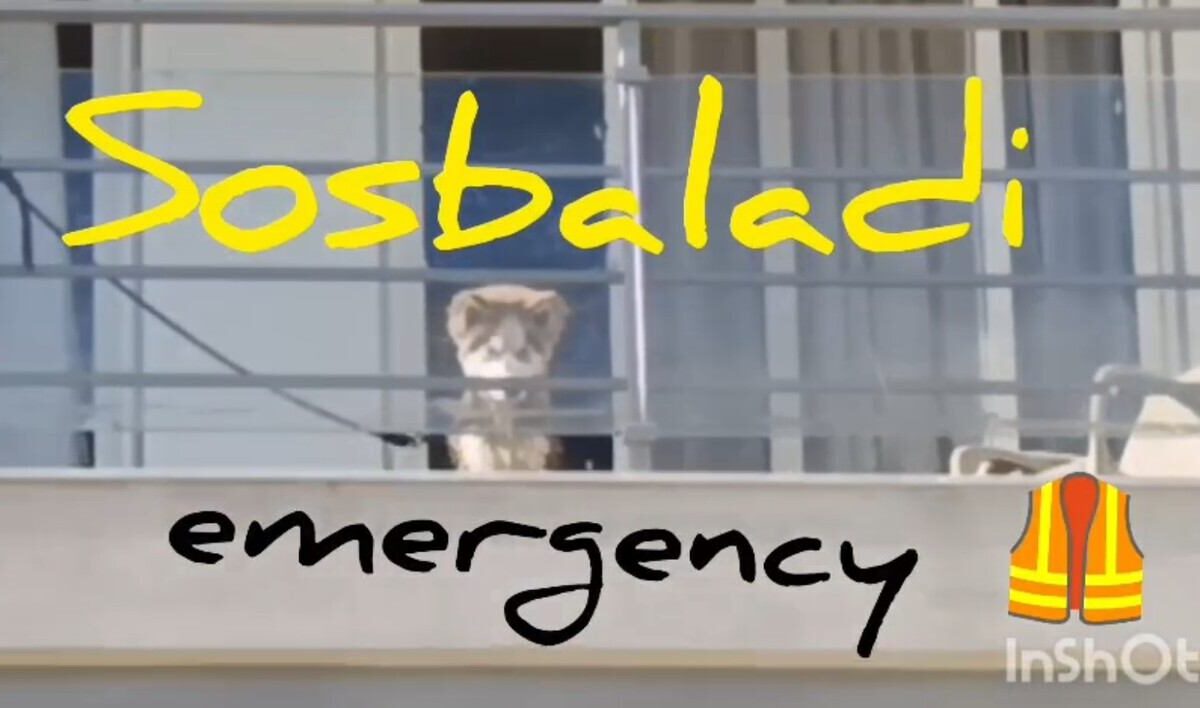 SOSBALADI randagismo
