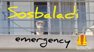 SOSBALADI randagismo