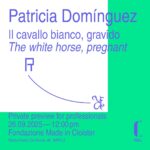 Mostra Patricia Domínguez
