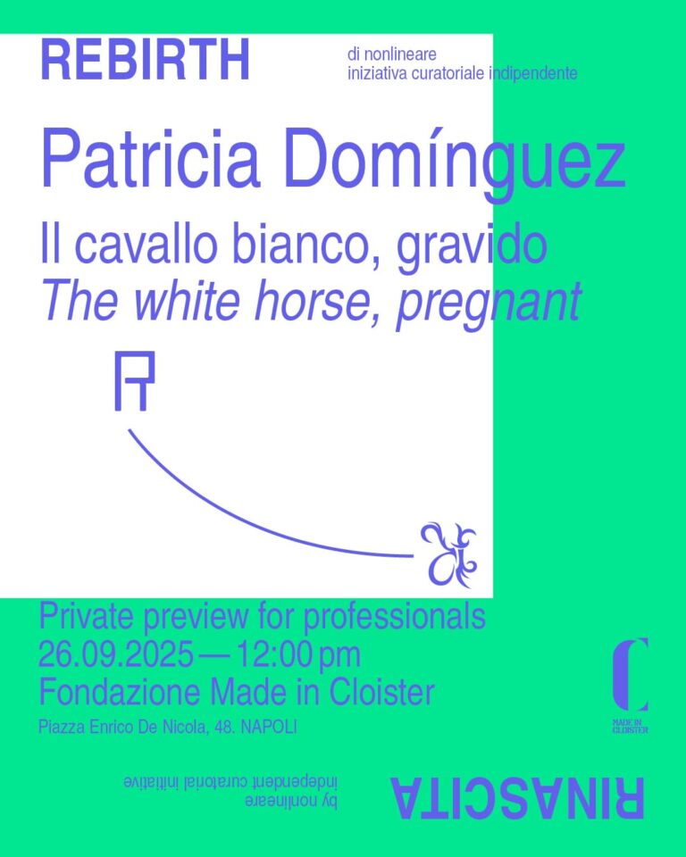 Mostra Patricia Domínguez