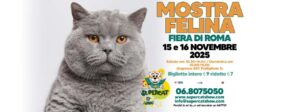SuperCat Show 2025 alla Fiera di Roma