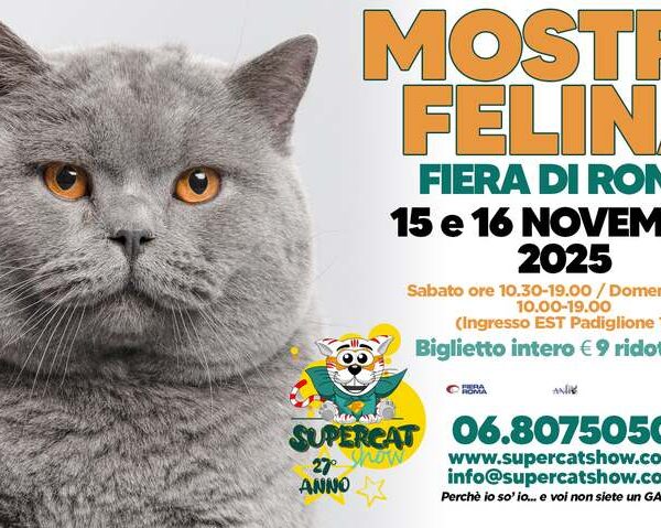 “SuperCat Show 2025: il più grande spettacolo felino d’Italia arriva a Roma – razze rare, concorsi e tante sorprese!”