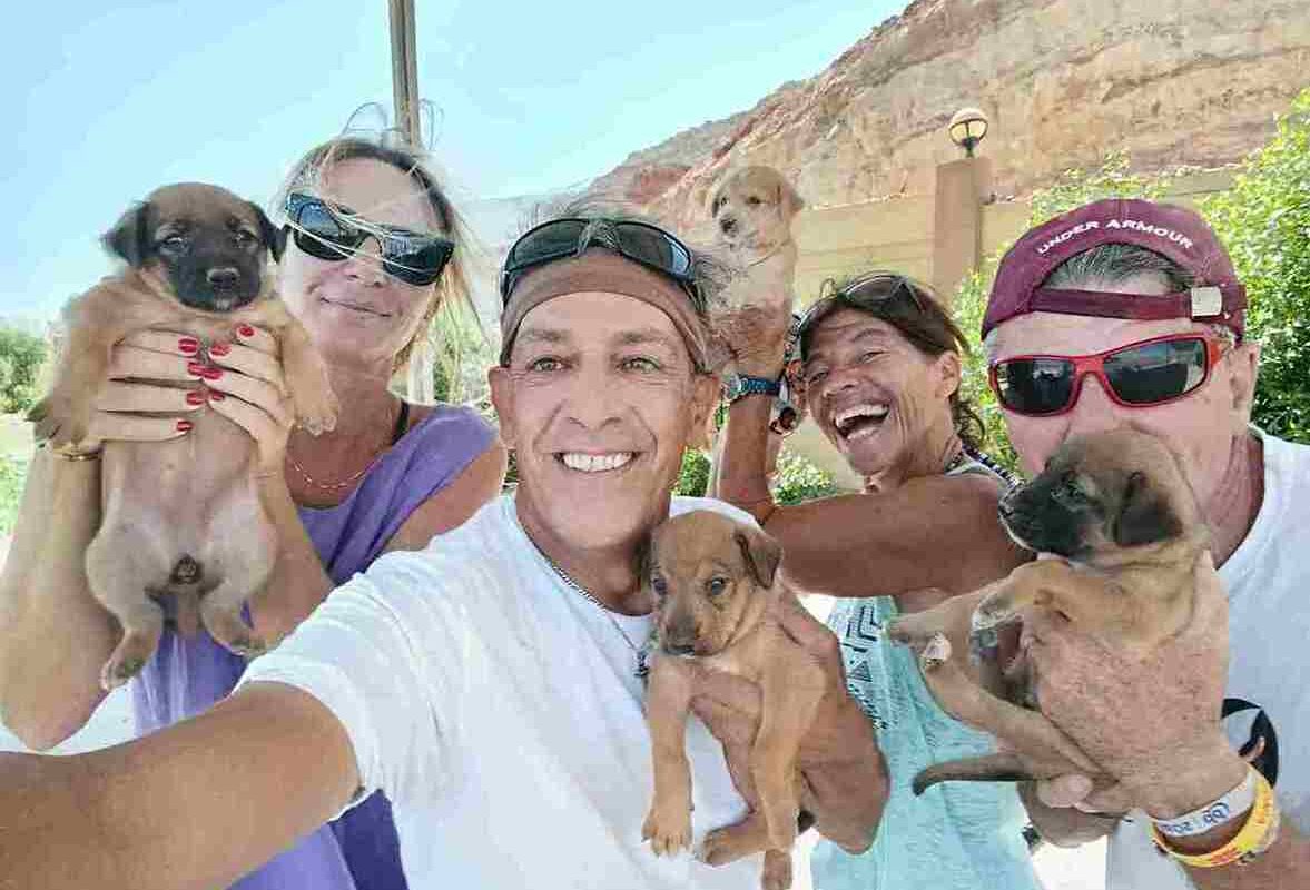 Scandalo Adozioni cani e gatti