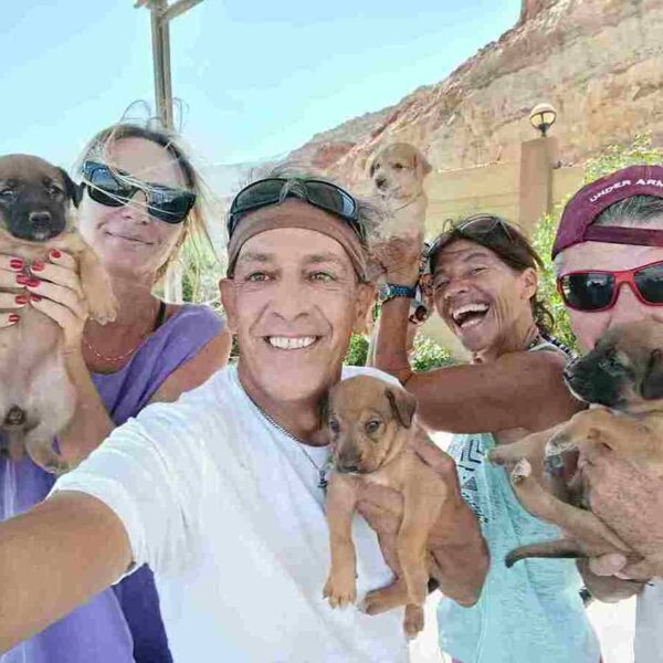 SCANDALO ADOZIONI: IL BUSINESS SEGRETO SU CANI E GATTI