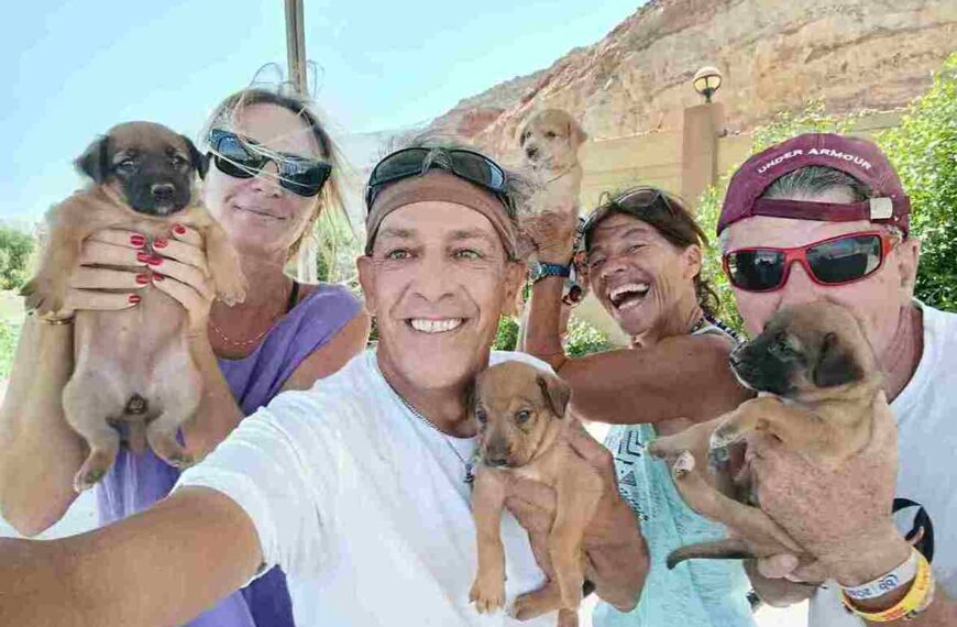 Scandalo Adozioni cani e gatti