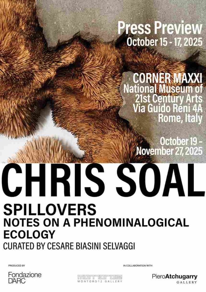 Chris Soal Spillovers: Notes on a Phenomenological Ecology Dal 19 ottobre al 27 novembre Corner MAXXI Via Guido Reni Roma RM