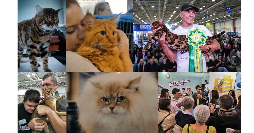 SuperCat Show 2025 alla Fiera di Roma