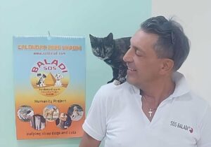 SOS baladi Marco Licata