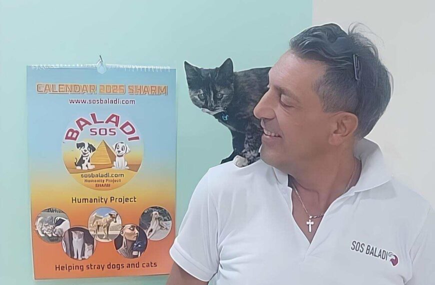 SOS baladi Marco Licata