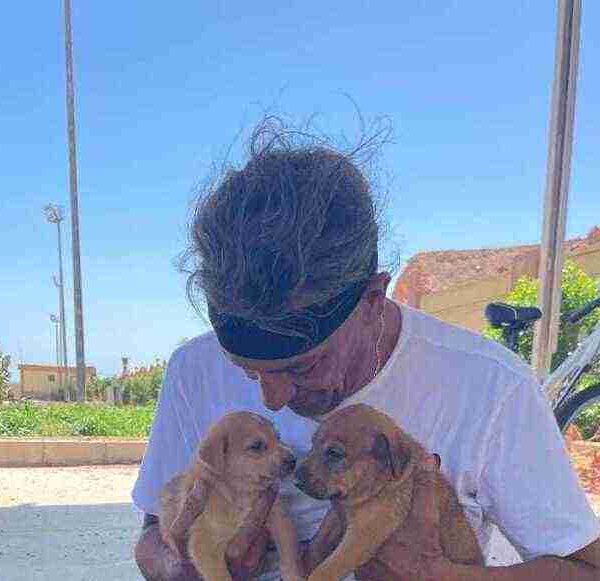 Randagi invisibili, crudeltà visibile: la verità su Sharm el-Sheikh, la città della pace.