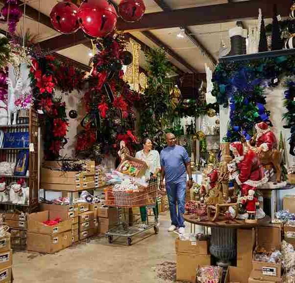 Programmi di WARNER BROS. DISCOVERY da dicembre a gennaio: la guida completa alle feste 2025-2026