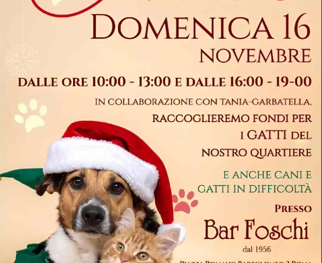 mercatino