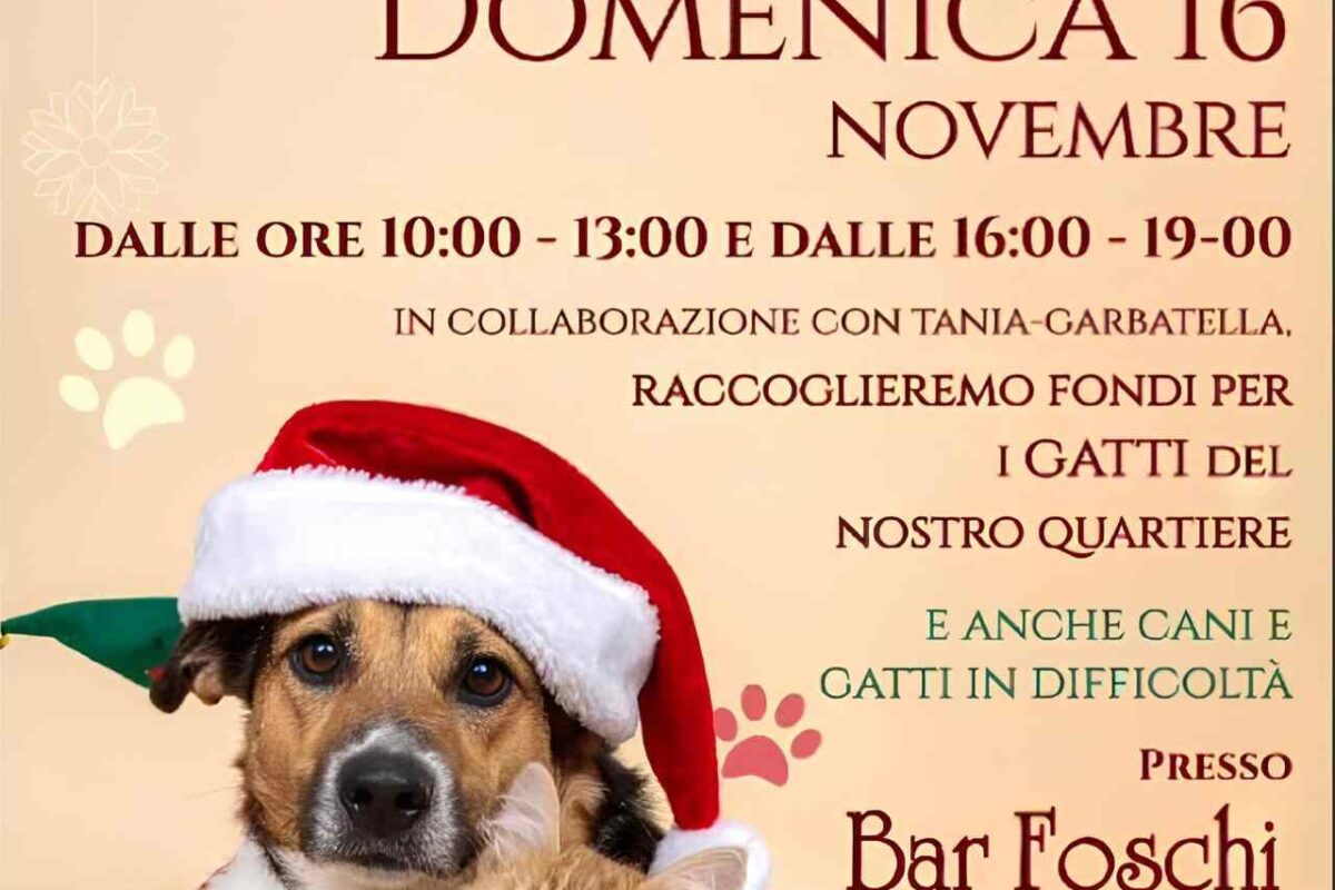 mercatino