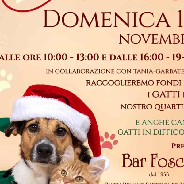 Garbatella, una domenica per gli animali: torna il Mercatino di Natale Solidale che unisce Roma