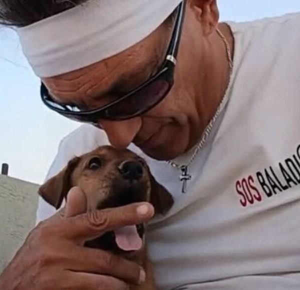 La mia vita con i Baladi: la missione che da Sharm parla al mondo