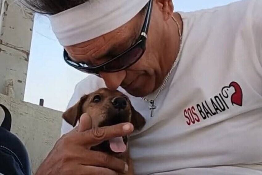 La mia vita con i Baladi: la missione che da Sharm parla al mondo