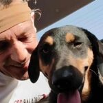 Sharm el Sheikh cani uccisi