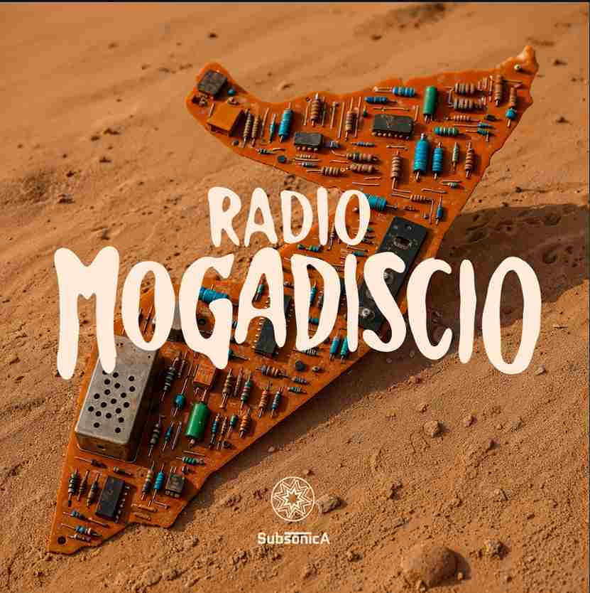 concerti 2026 Subsonica