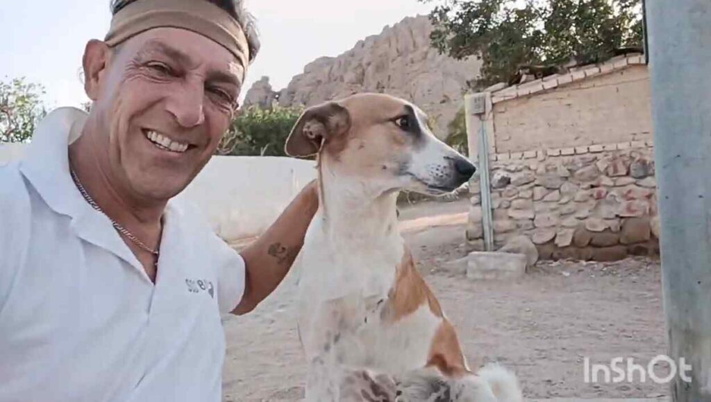 Emergenza cani