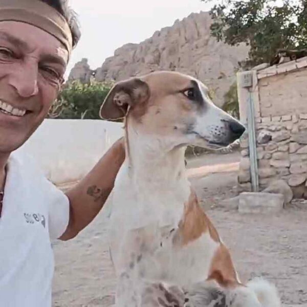 Egitto: quando la sopravvivenza dei Baladi dipende dalla coscienza umana