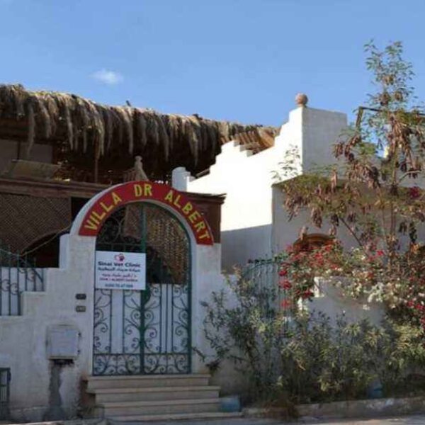 Quando l’umanità conta più del business: la mia storia con il dottor Albert a Sharm el-Sheikh