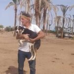 Sterilizzazione cani