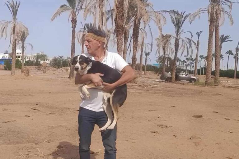 Sterilizzazione cani