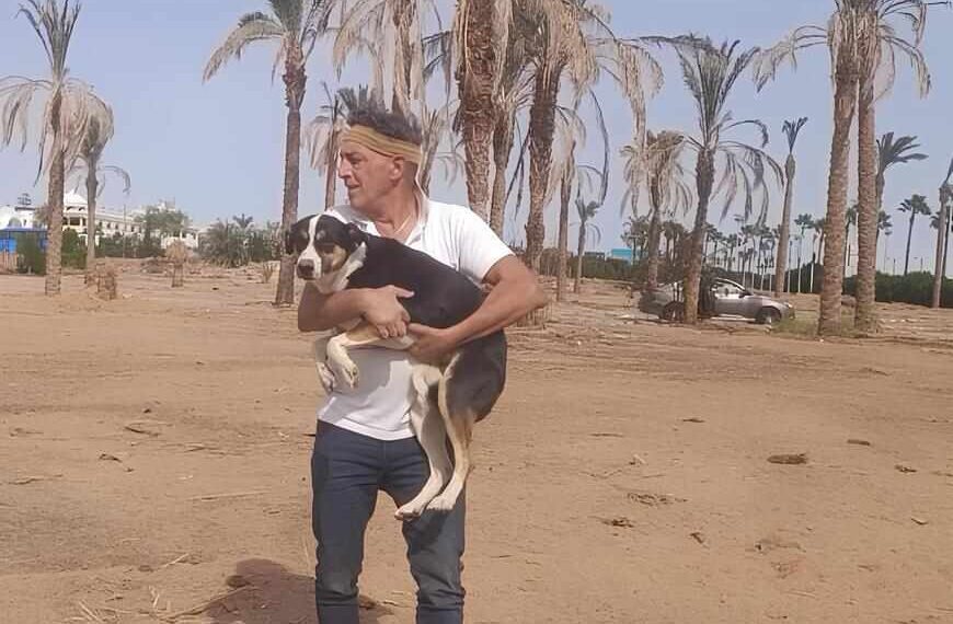 Sterilizzazione cani