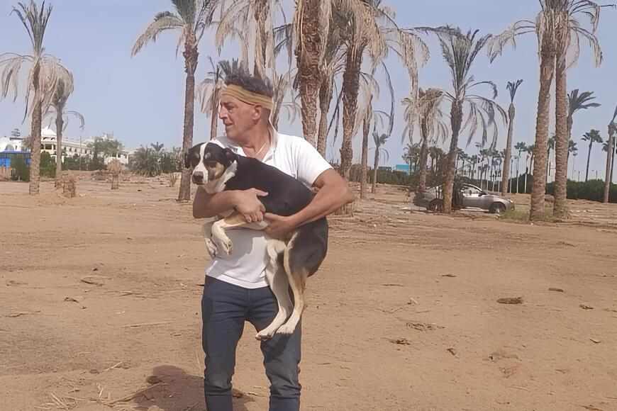 Sterilizzazione cani