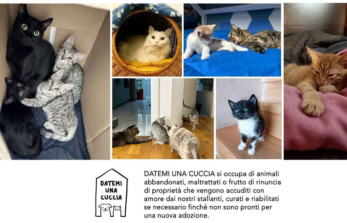 Datemi una cuccia