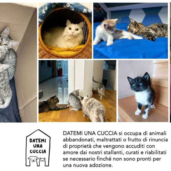 Adotta un amico: Ne trovi uno vero ogni 4 zampe