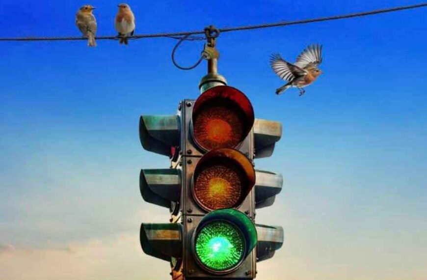 Rush – Fifty Something Tour: Milano, 30 marzo 2027