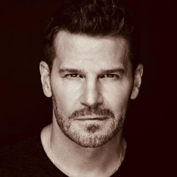 David Boreanaz