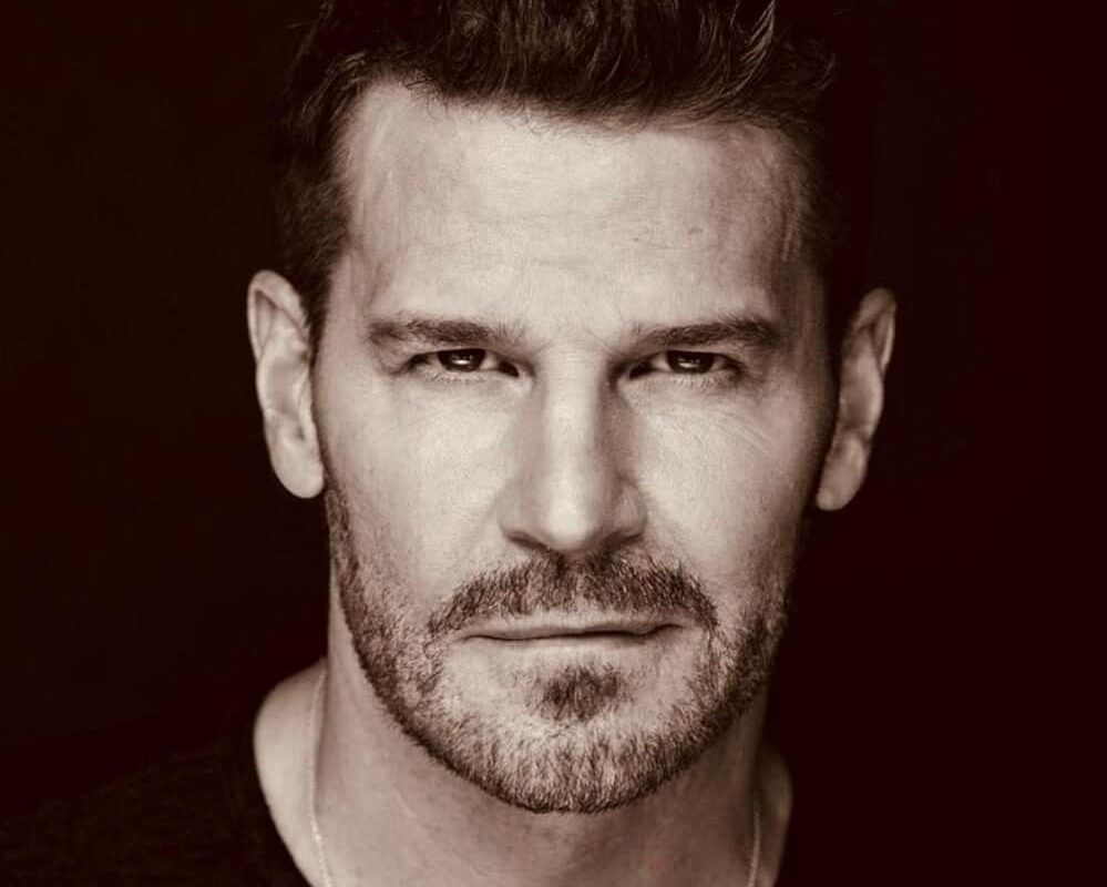David Boreanaz