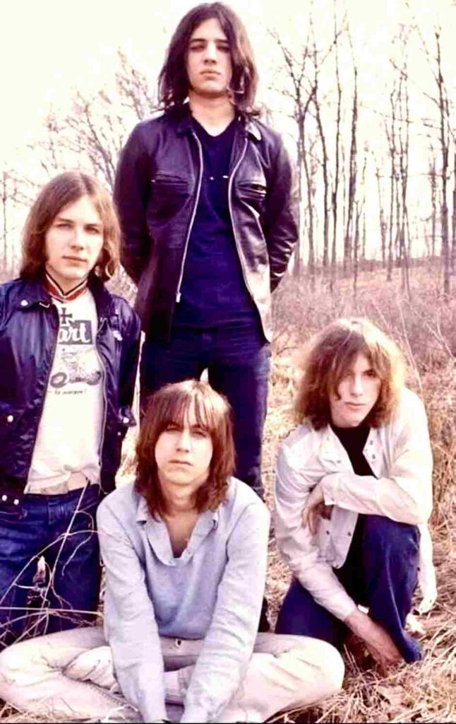 The Stooges Iggy pop