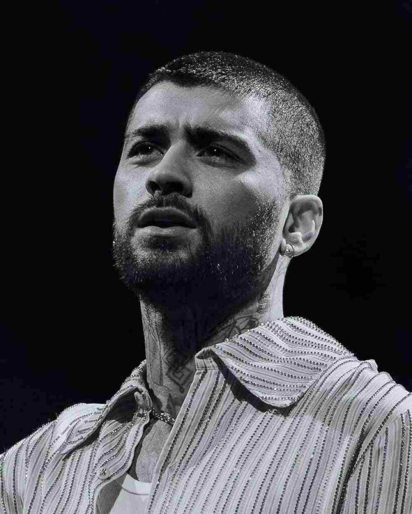 Zayn Malik Konnakol album