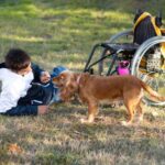 la scienza può creare cani da lavoro migliori