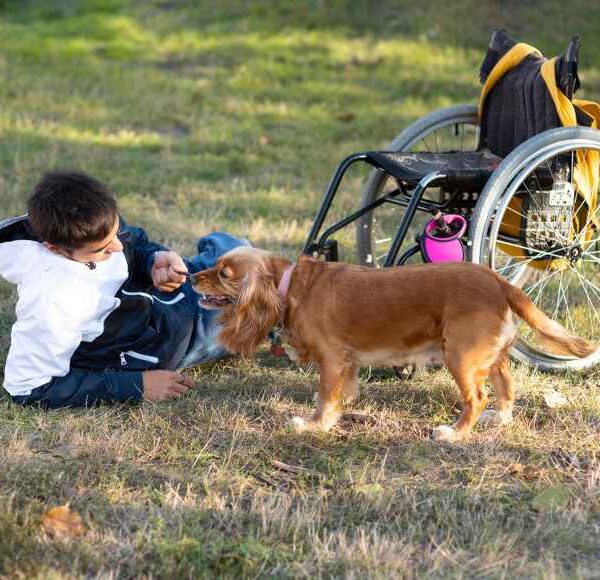 la scienza può creare cani da lavoro migliori