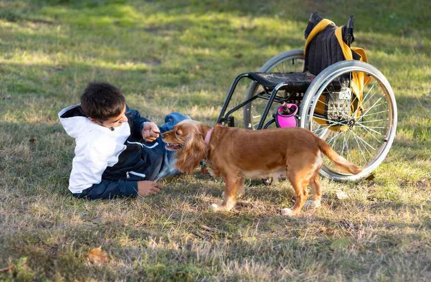 la scienza può creare cani da lavoro migliori