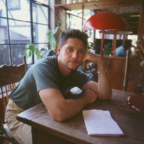 NIALL HORAN: ANCHE IL SUO “RITIRO” È FINITO