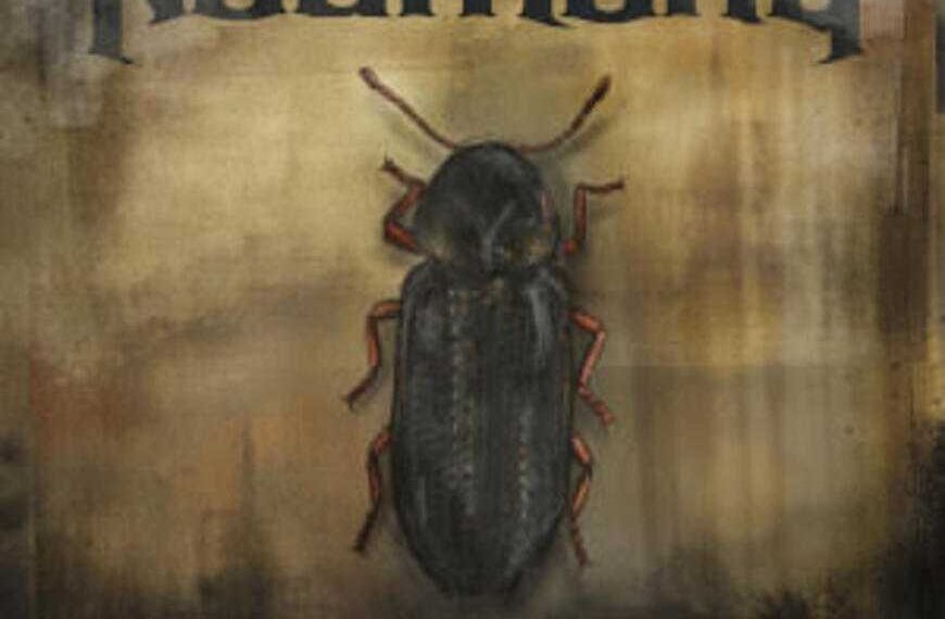 Noumena riemerge dall’ombra con “Kuolemankello”: un ritorno monumentale che intreccia storia, dolore e potenza nordica