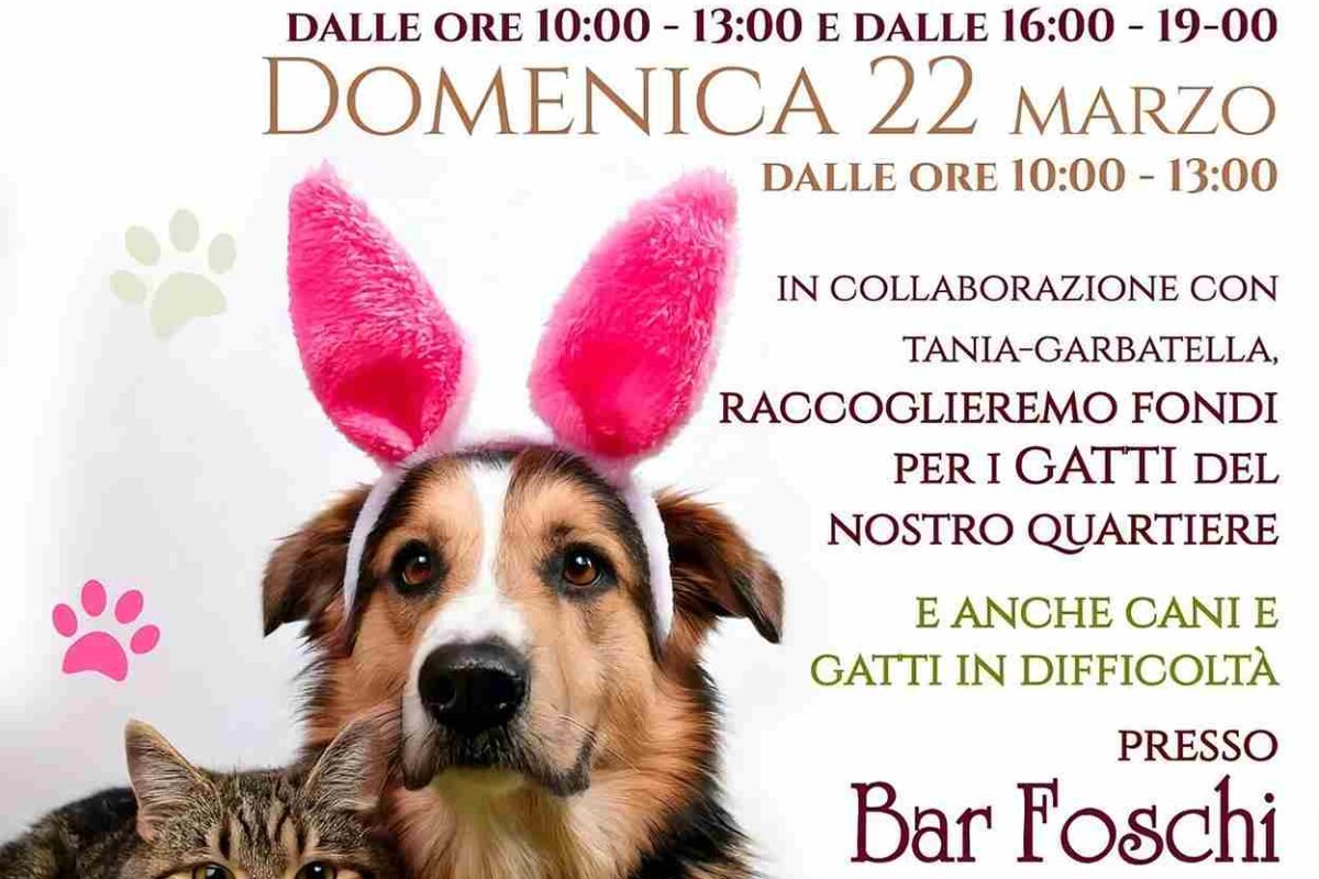 Aiutare gli animali Garbatella