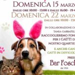 Aiutare gli animali Garbatella