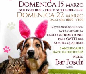 Aiutare gli animali Garbatella