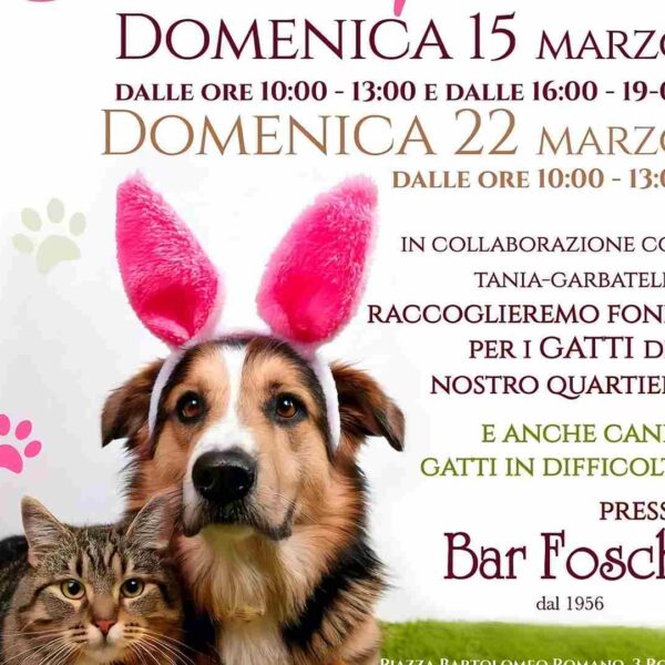 Aiutare gli animali Garbatella