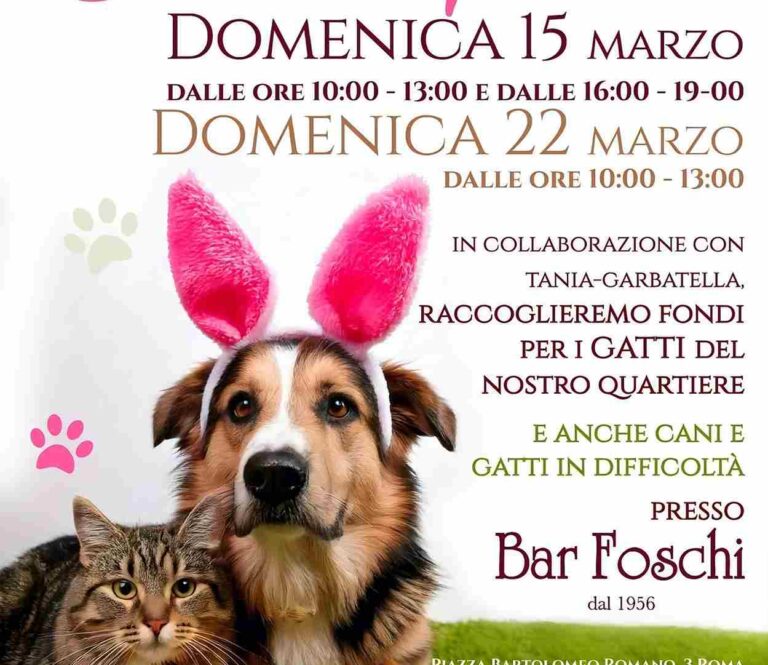 Aiutare gli animali Garbatella