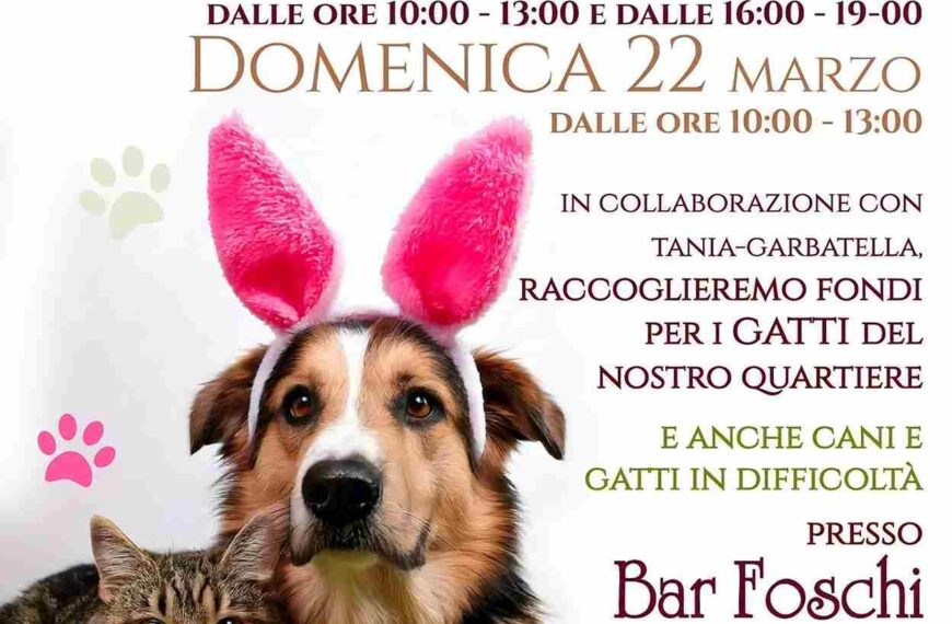 Aiutare gli animali Garbatella