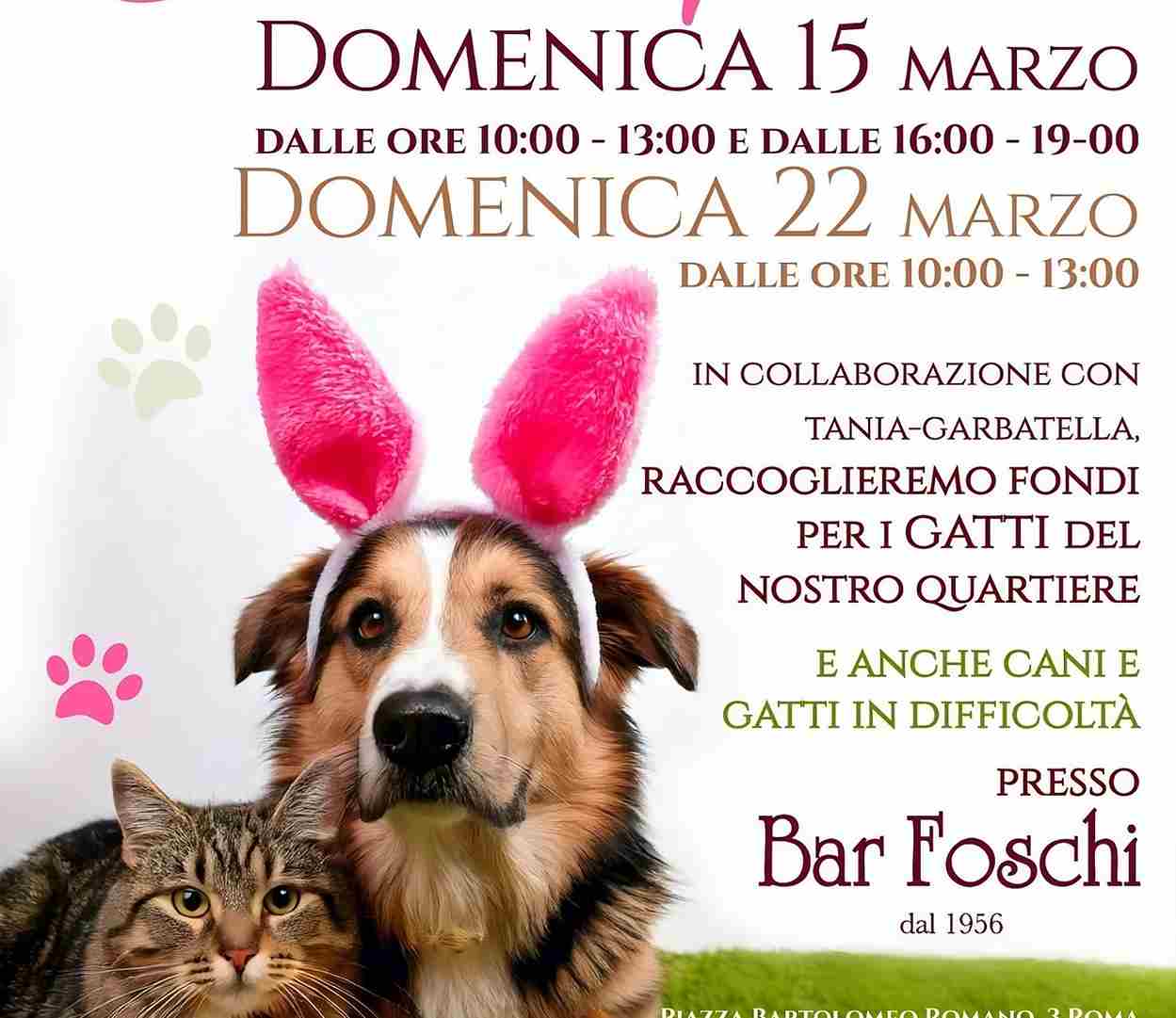 Aiutare gli animali Garbatella
